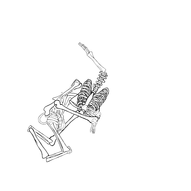 Dem bones dem bones dem – dry bones!