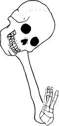 Dem bones dem bones dem – dry bones!