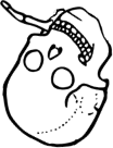Dem bones dem bones dem – dry bones! Dem bones dem bones dem – extra bones!