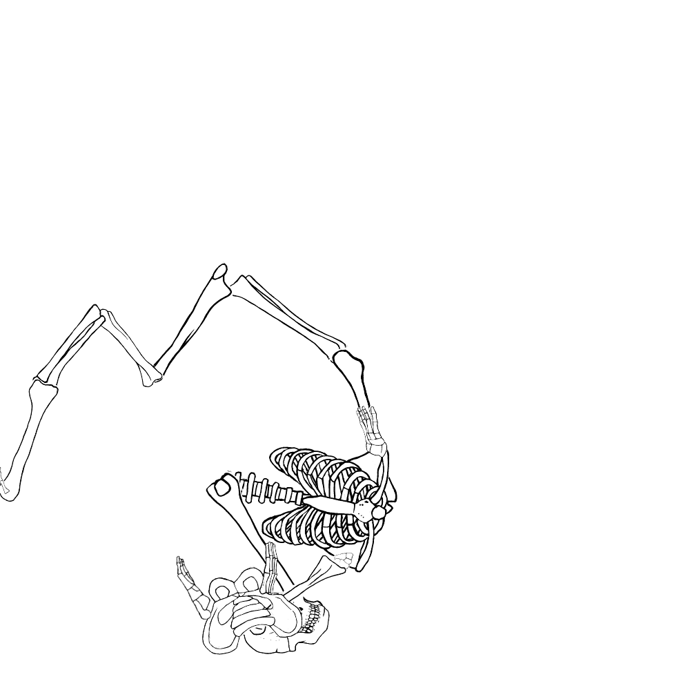 Dem bones dem bones dem – dry bones!