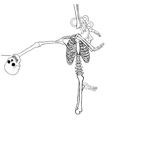 Dem bones dem bones dem – dry bones!