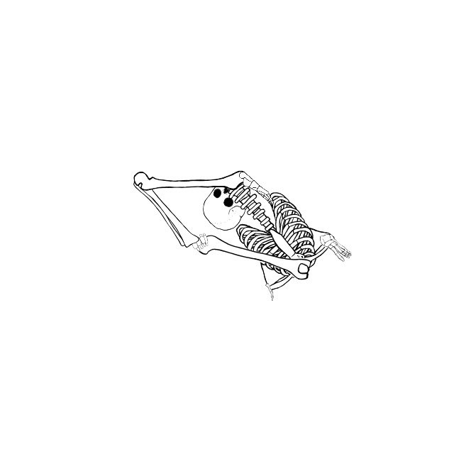 Dem bones dem bones dem – dry bones!
