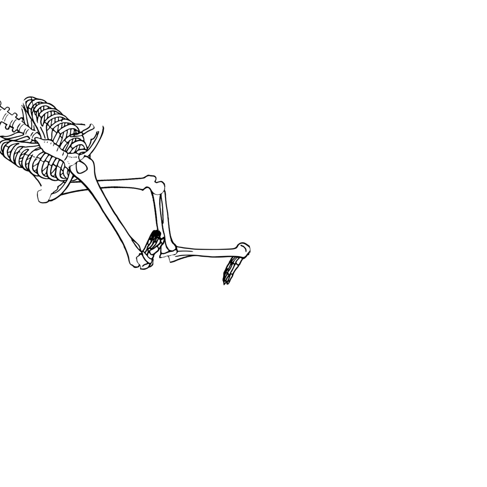 Dem bones dem bones dem – dry bones!