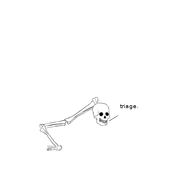 Dem bones dem bones dem – dry bones!