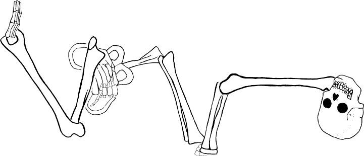 Dem bones dem bones dem – dry bones!