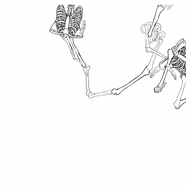 Dem bones dem bones dem – dry bones!