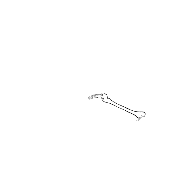 Dem bones dem bones dem – dry bones!