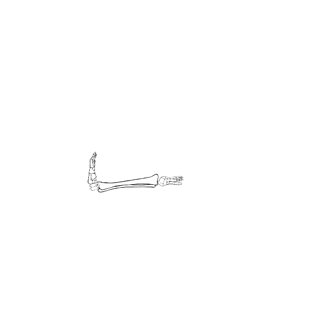 Dem bones dem bones dem – dry bones!