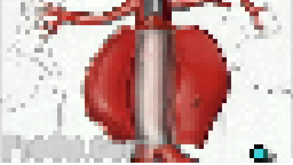 aorta