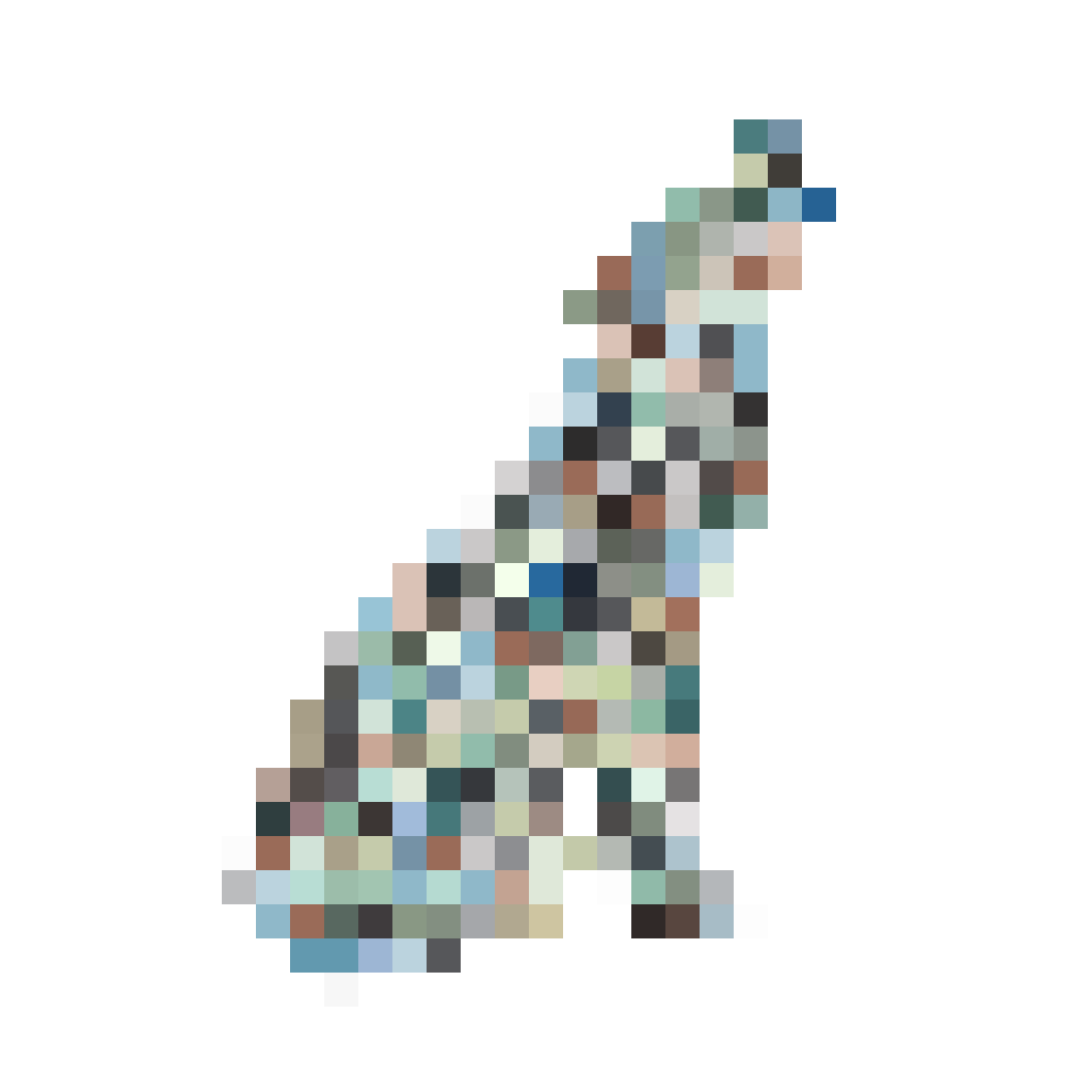 coyote