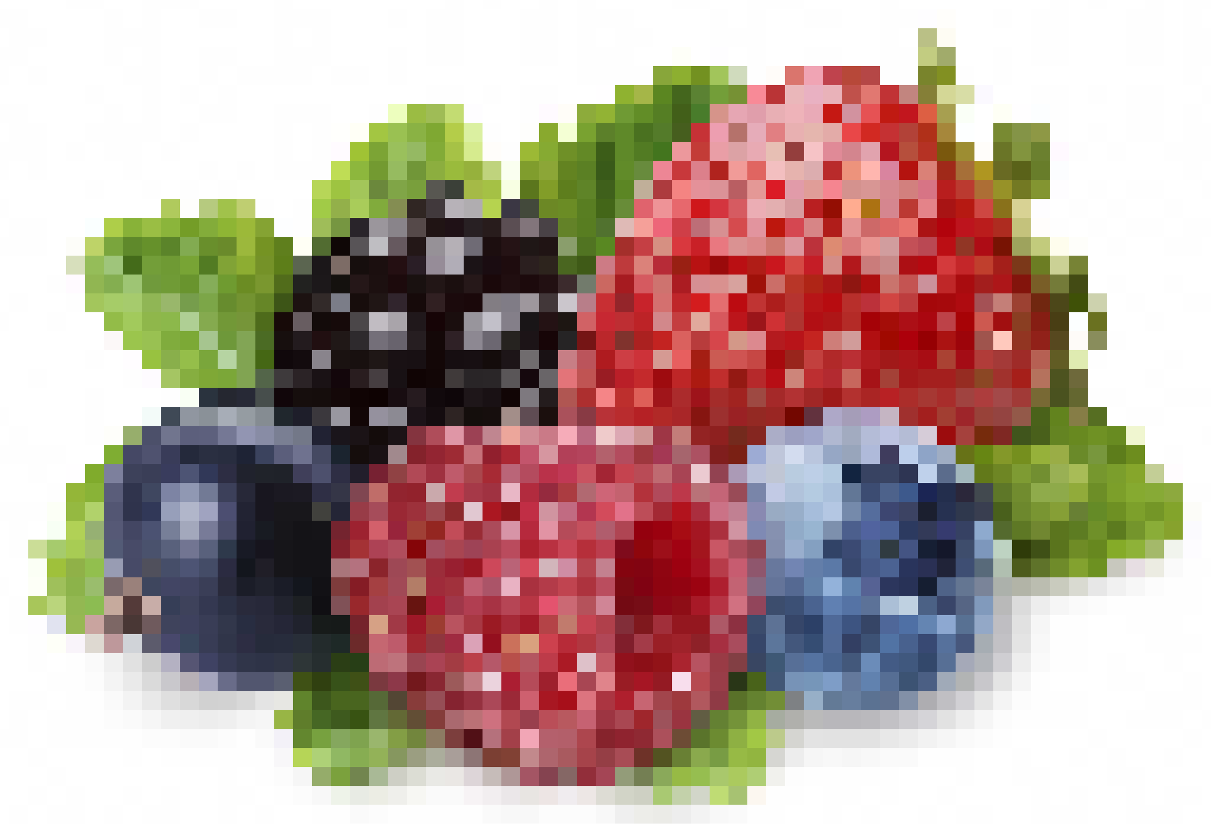 berries