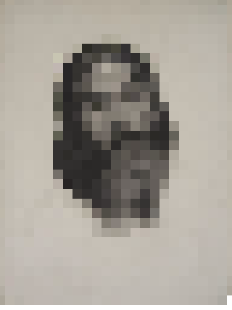 Barbe