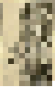 attainder