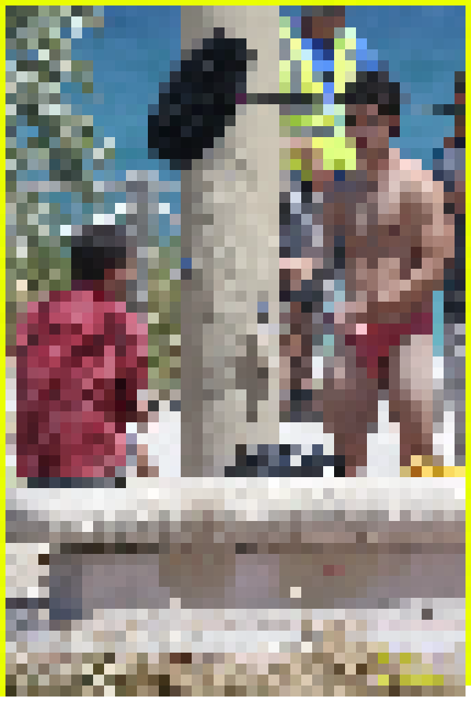 Speedo