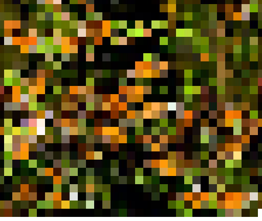 migrations