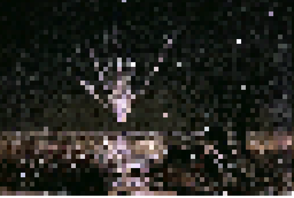 comets