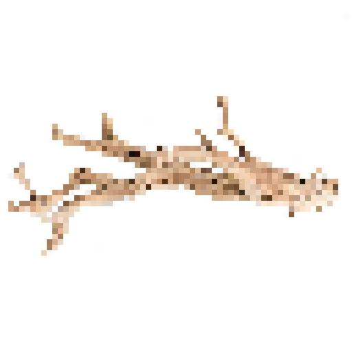 driftwood