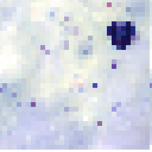 falciparum