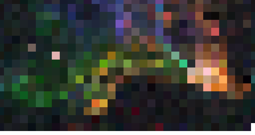 The Cygnus Loop