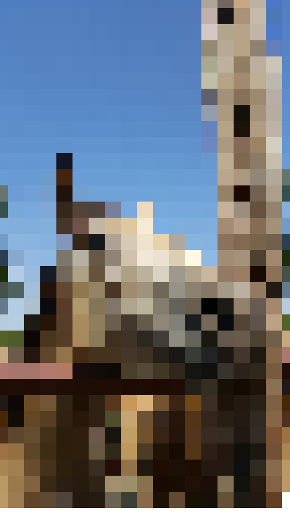 horsing