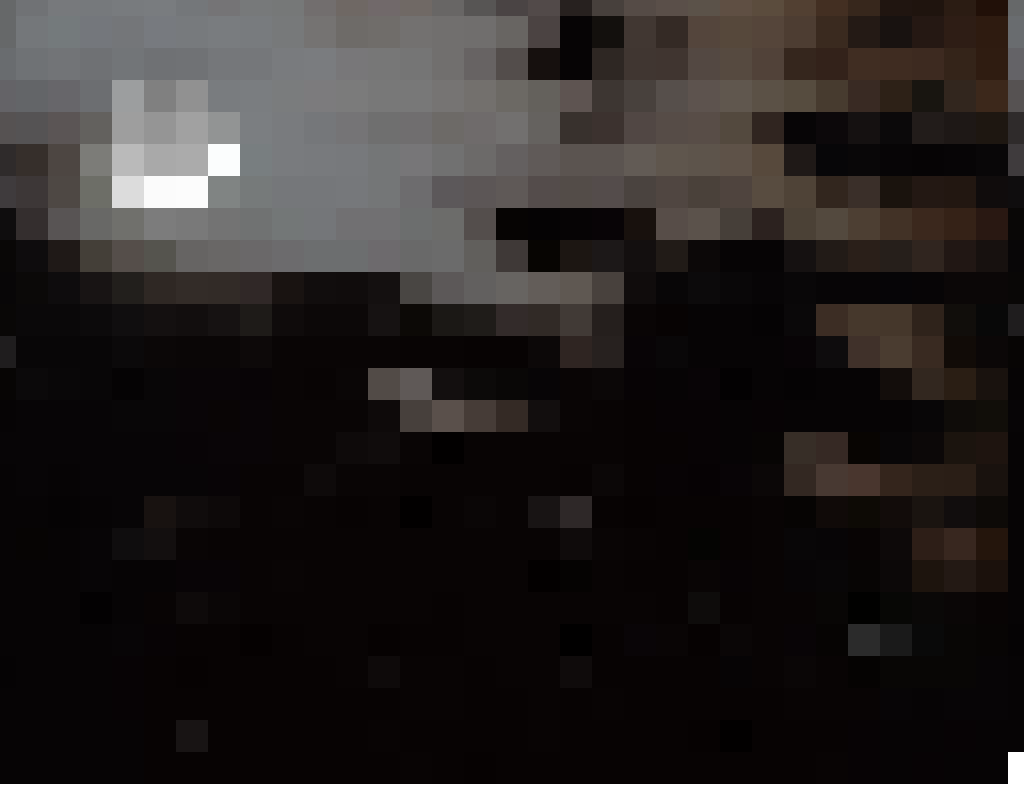Jupiter, Moons, and Bees