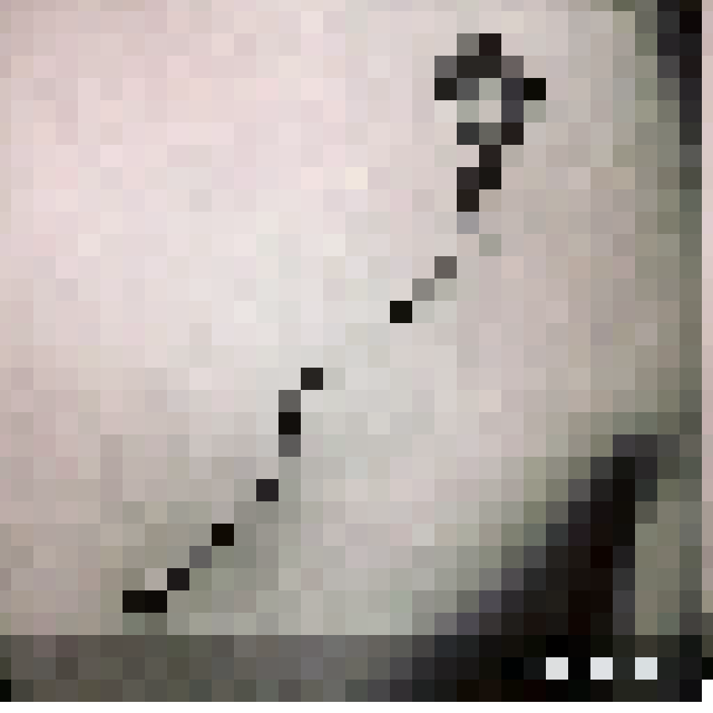 collarbone
