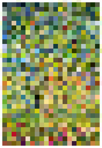 apple-tree