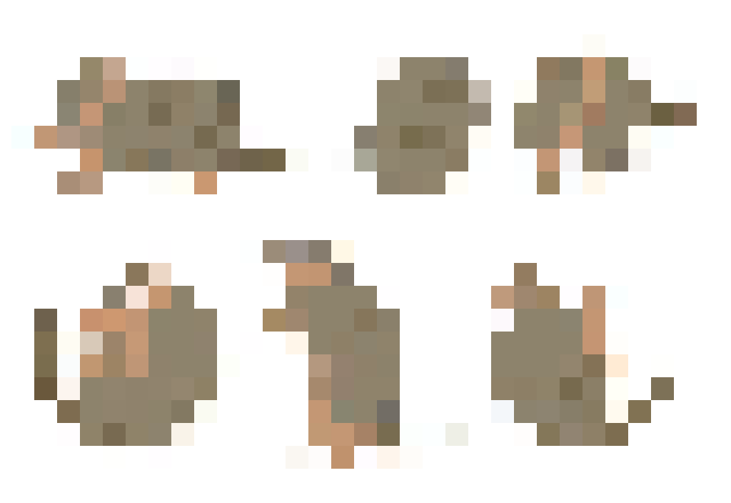 armadillos