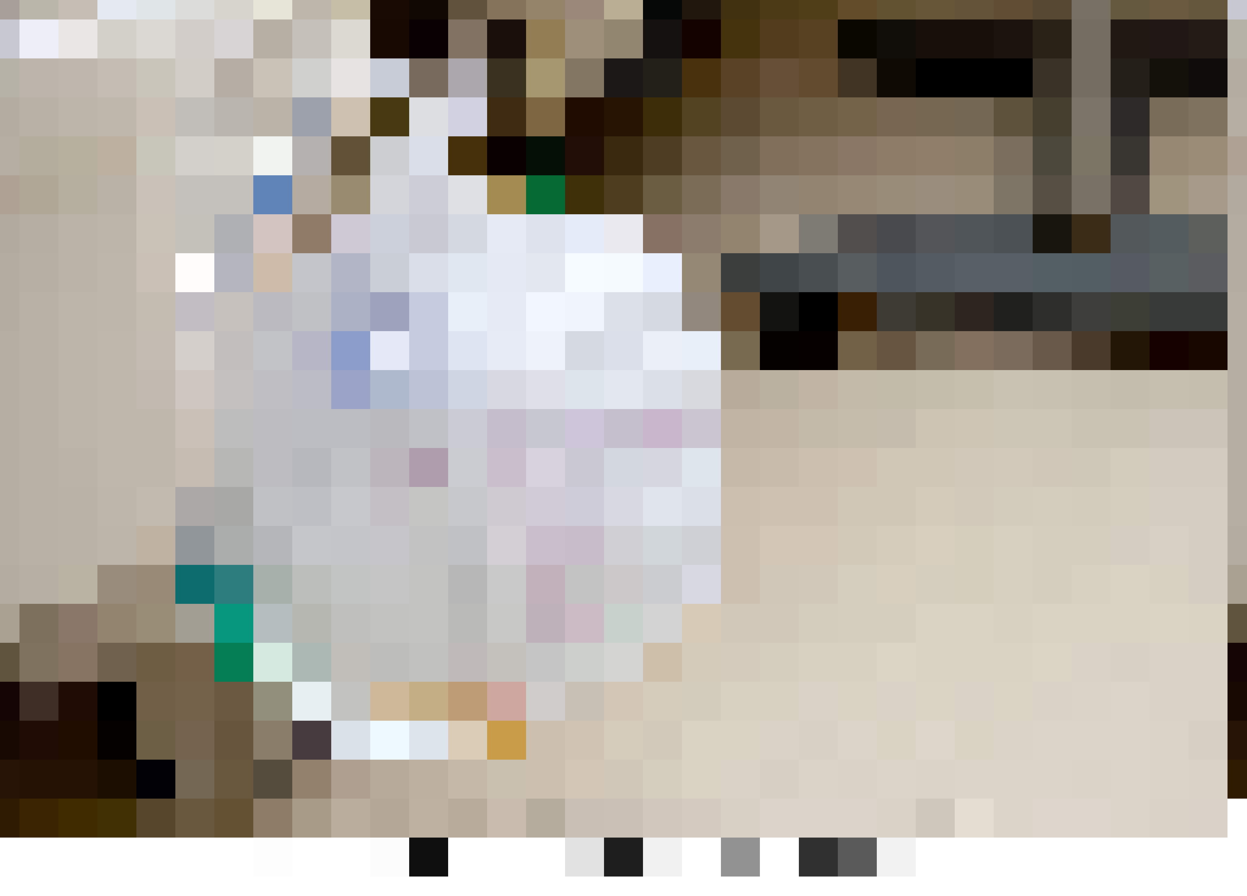 catheter