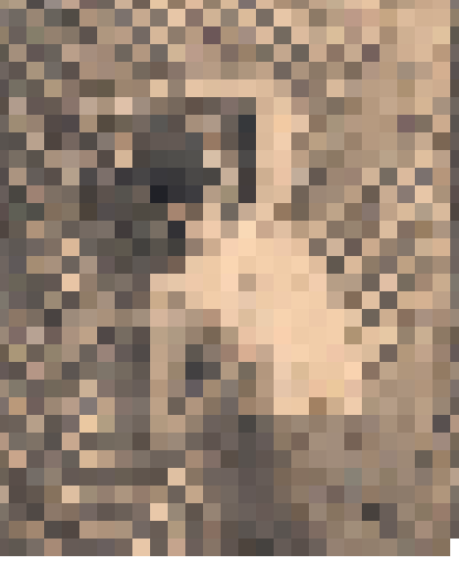 disturbance