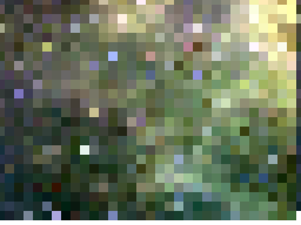 Tentacles of the Tarantula Nebula