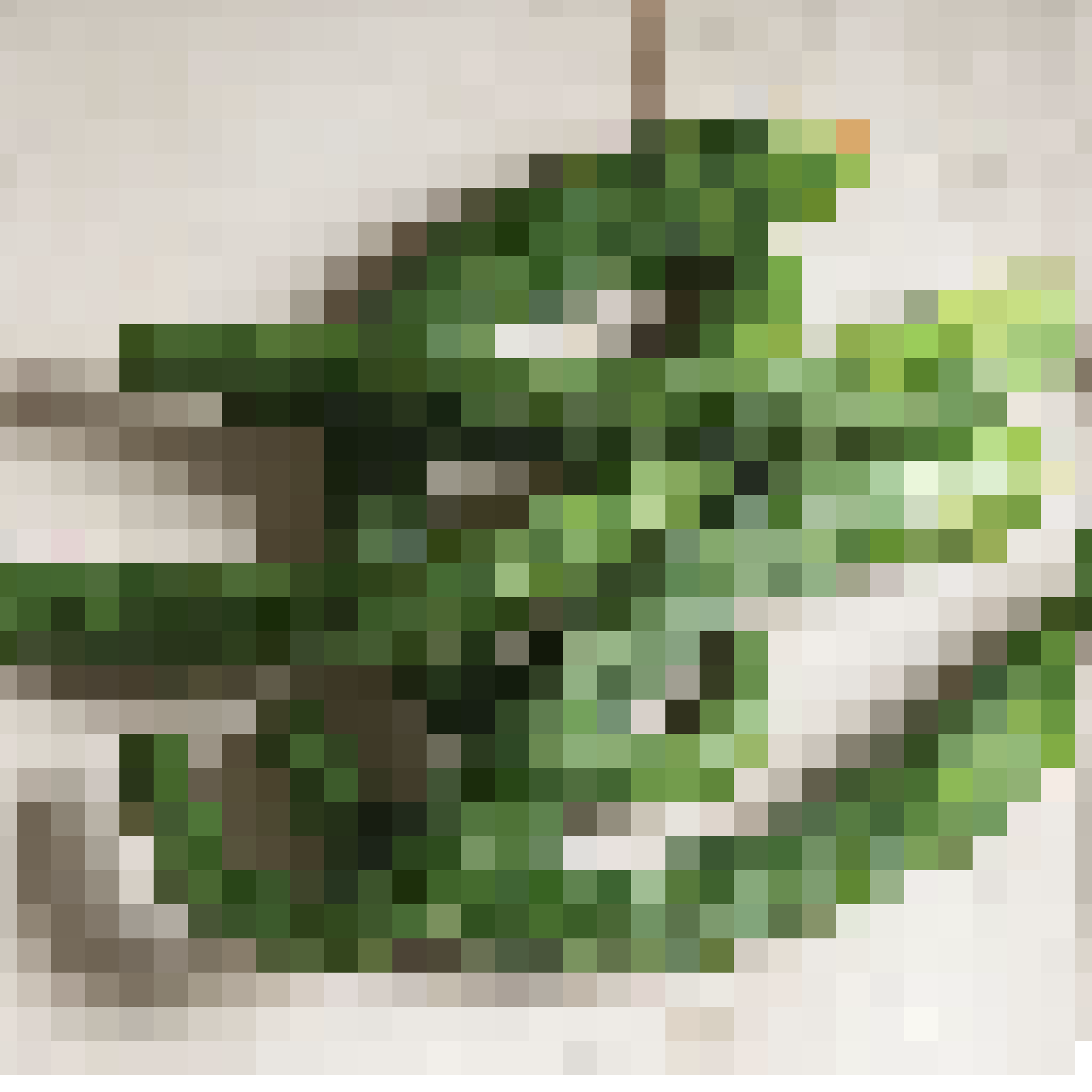 cucumbers