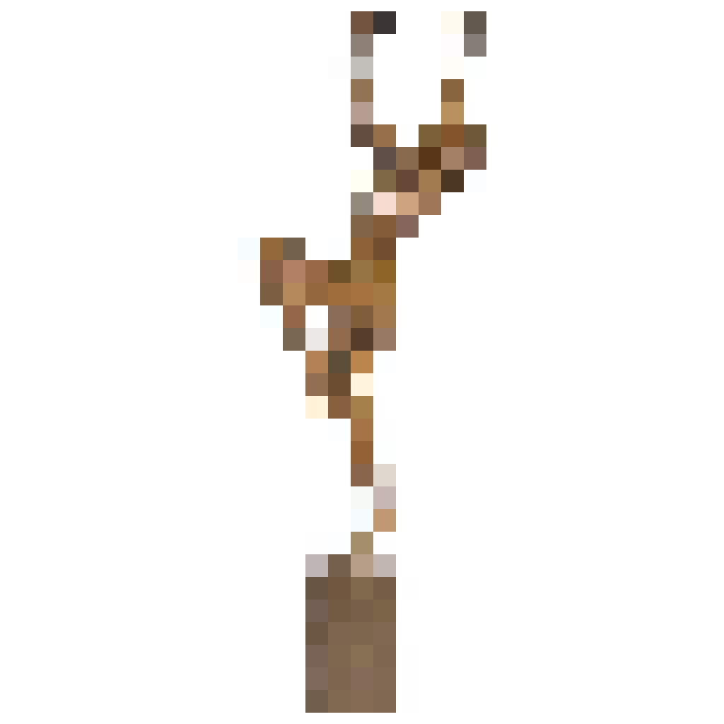 castanets