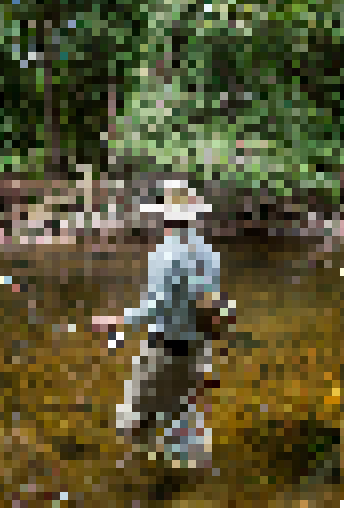 fly-fishing