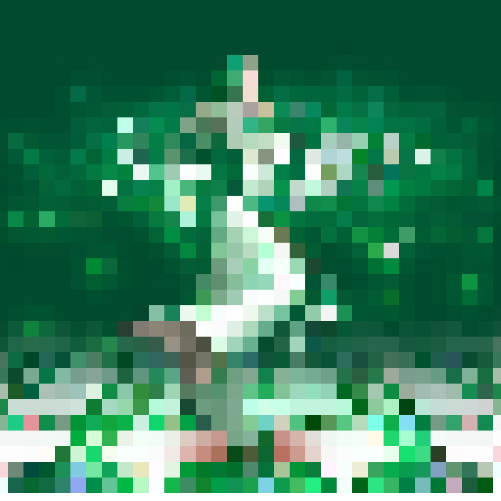 anima
