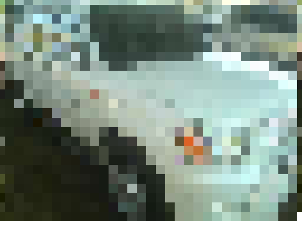 bakkie