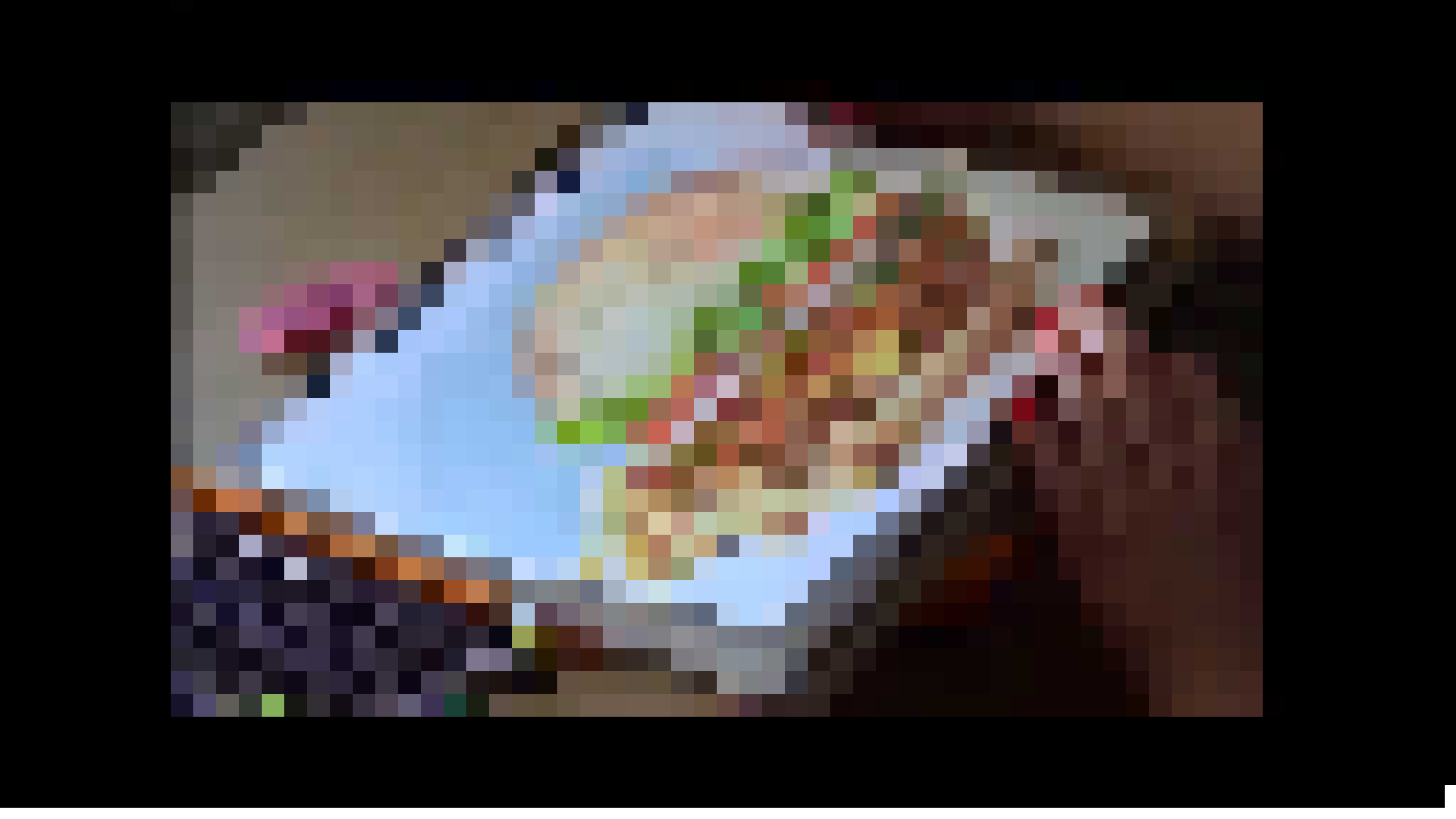 Hamburgers