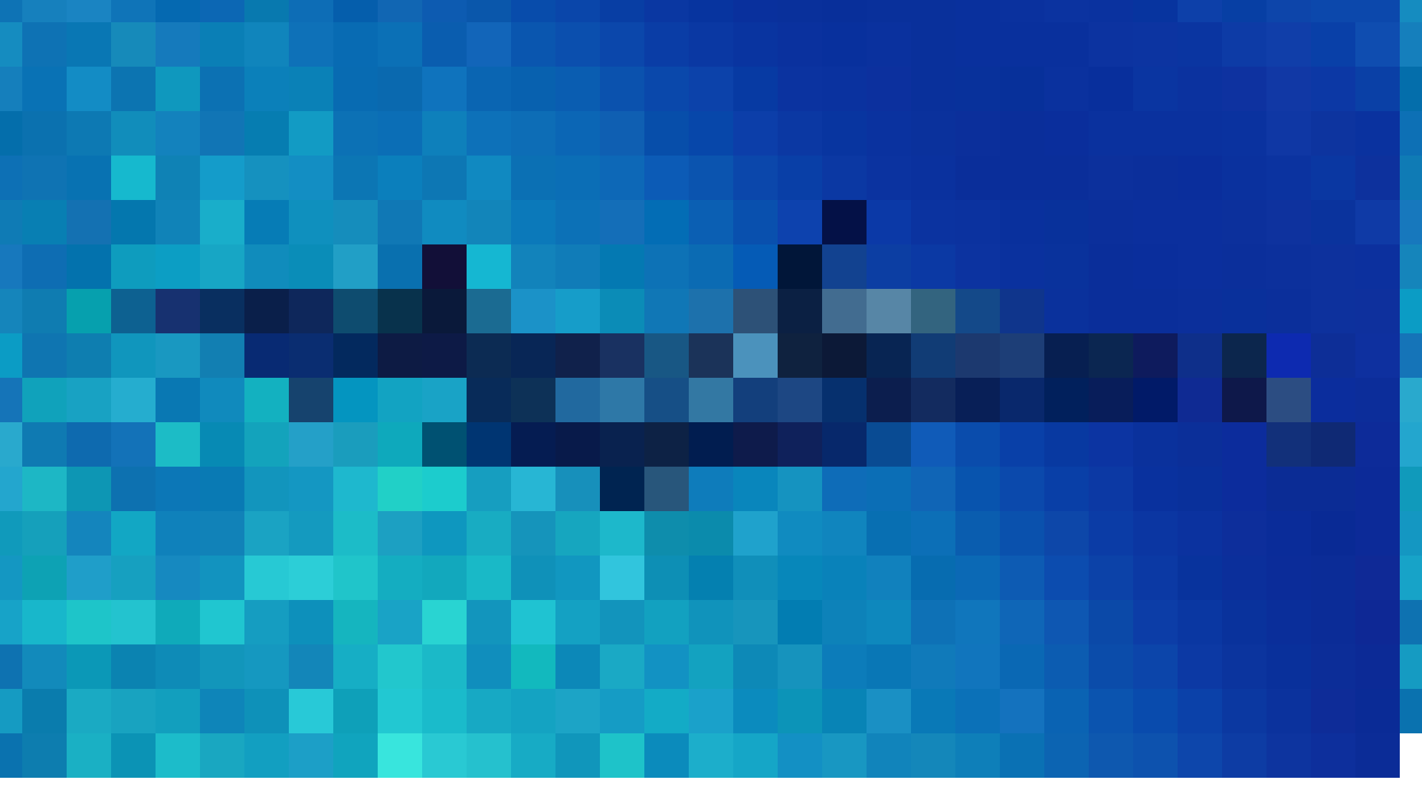 flipper