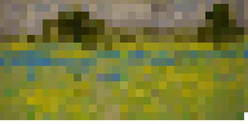 Fields