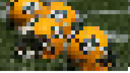 Packers