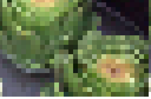 artichoke