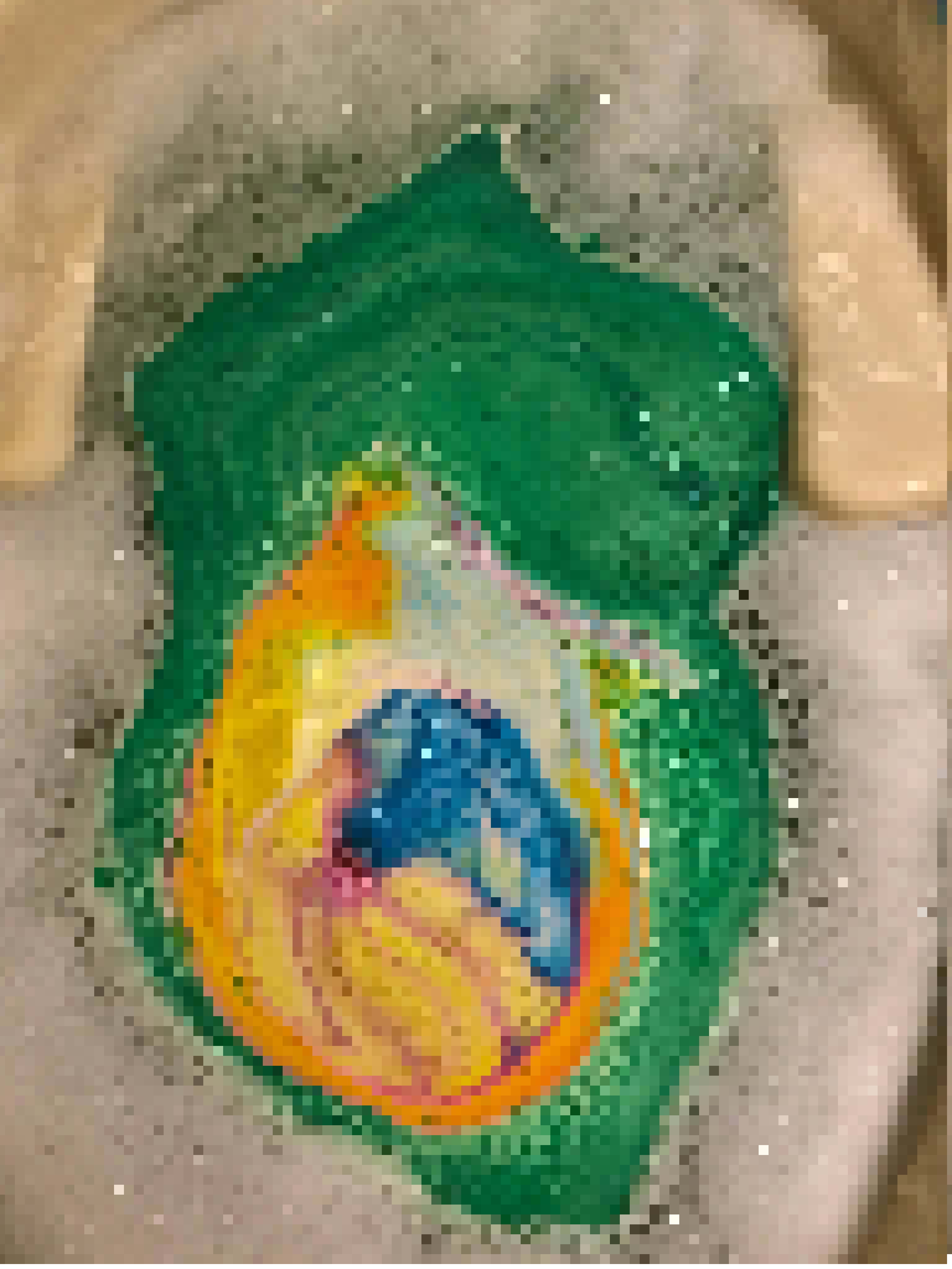 experimenter
