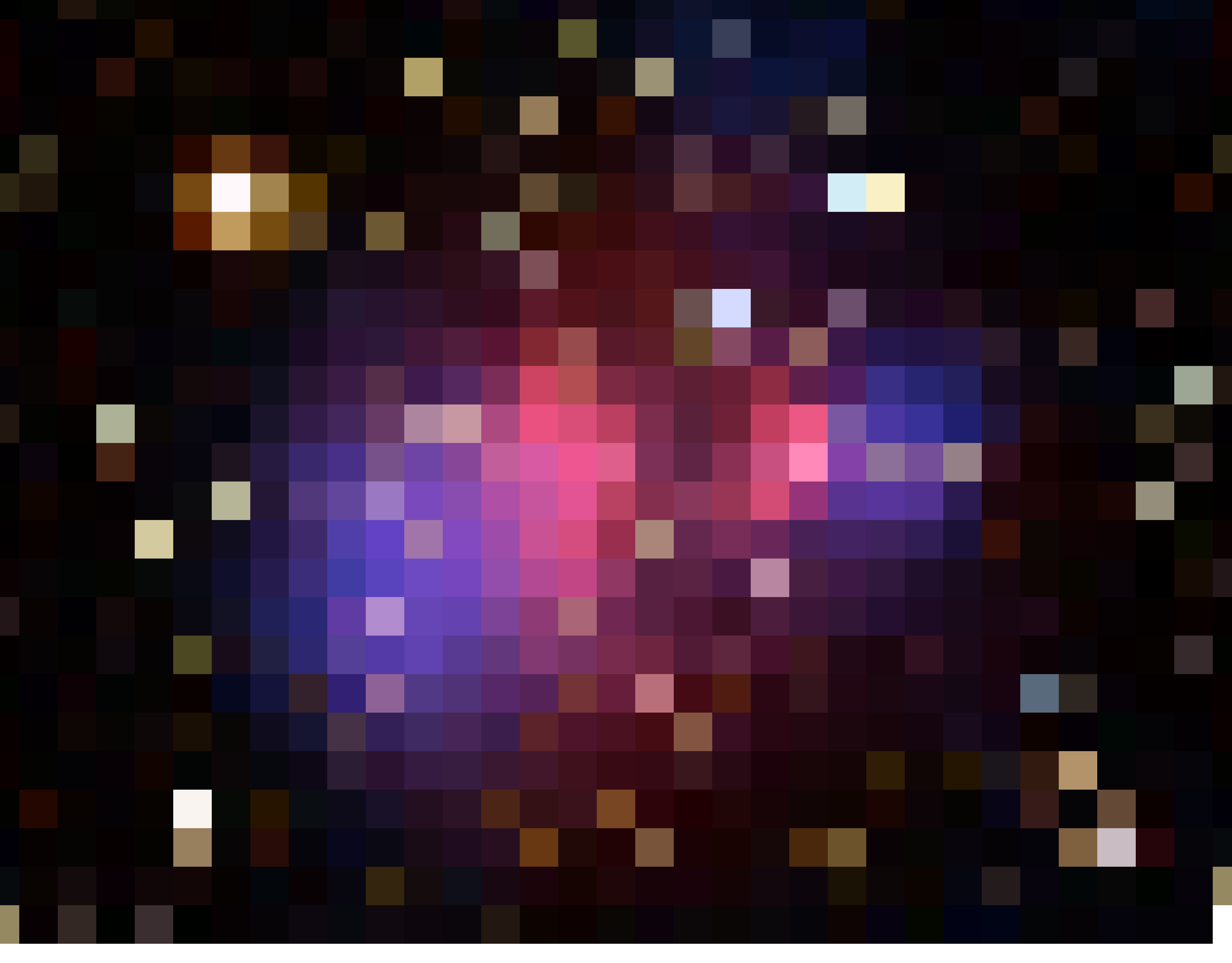 The Matter of the Bullet Cluster