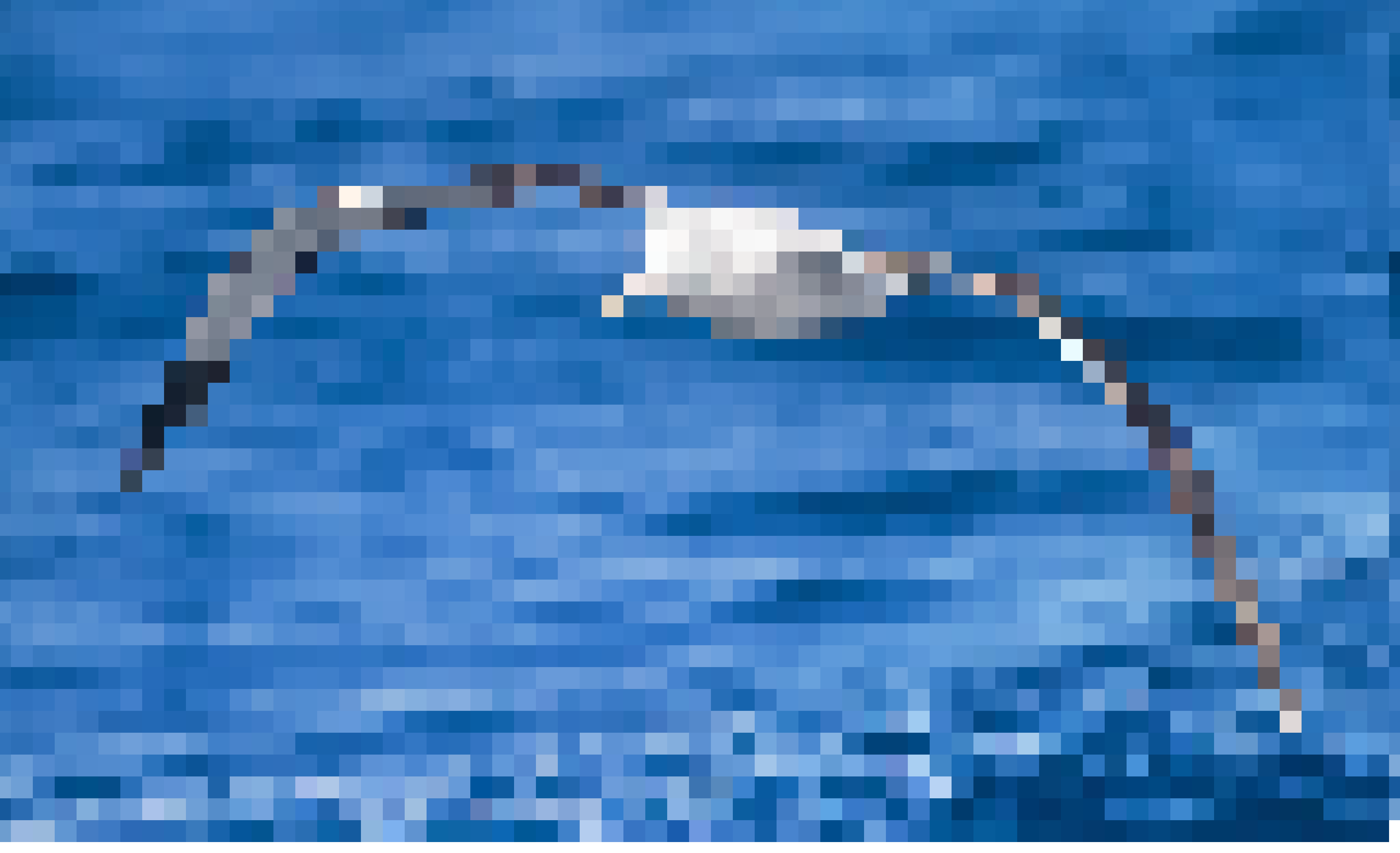 albatross
