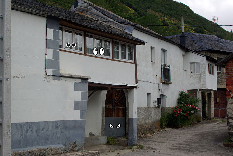 Door, Window, Window