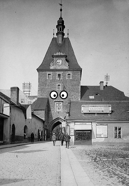 House, Building