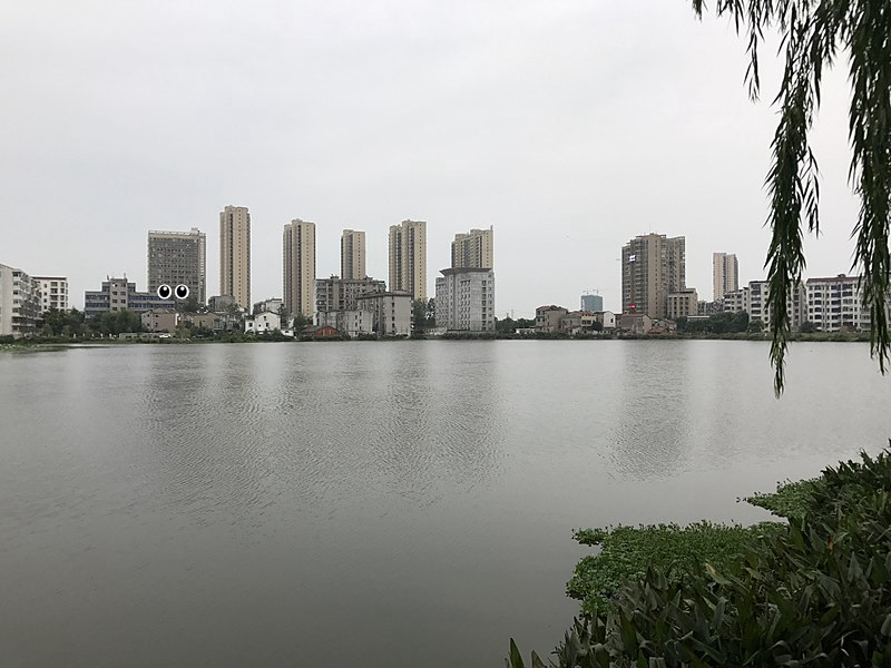 Building, Building