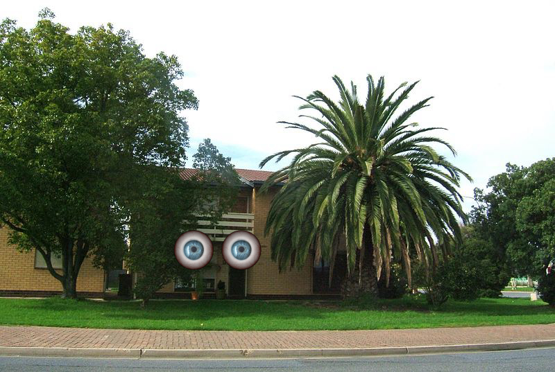 House, Building