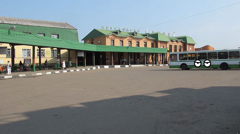 Bus