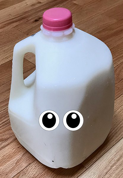 Bottle